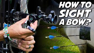 Sighting In Your Bow Made Easy