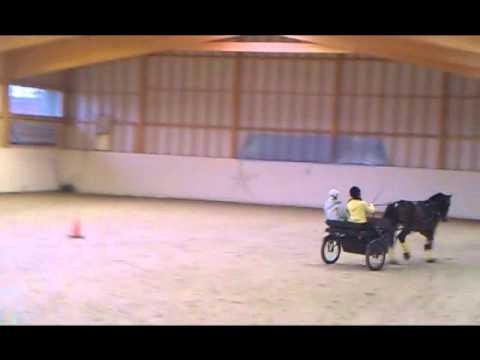 Olaf Nyby-kurs nov 2011