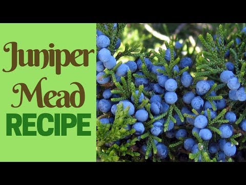 Juniper mead - Easy home made mead recipe
