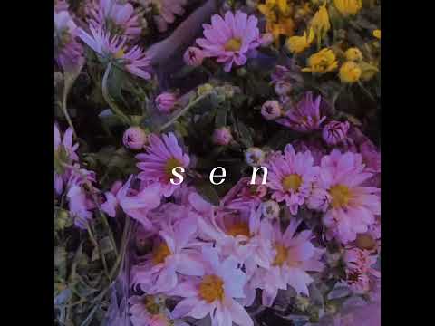 🇹🇲 SEN || speed up || Carvillo x MAD Nazarov [TM]