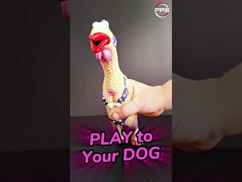 Squeaky toy sound for dogs #dogsound #viralvideo