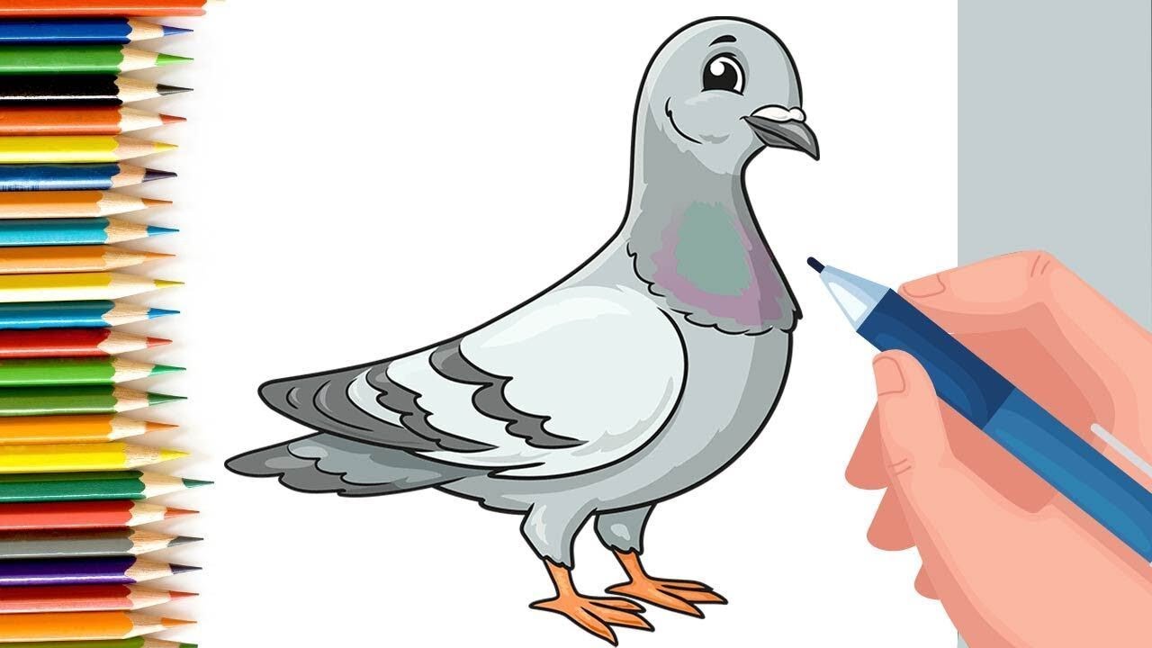 How to Draw easy Pigeon with Number 9 step by step for Kids| Simple Drawing Tutorials!