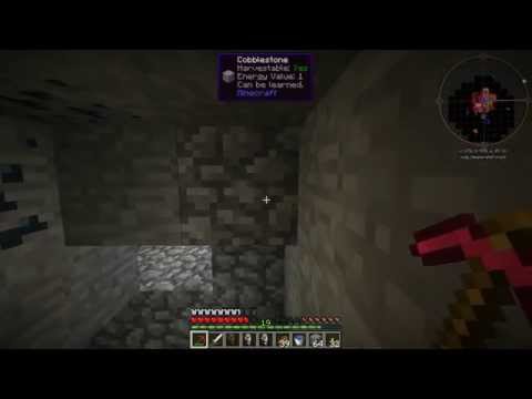 FTB horizons: Daybreaker