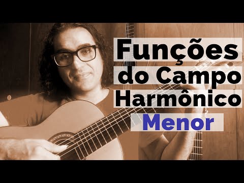 Functions of the Minor Harmonic Field