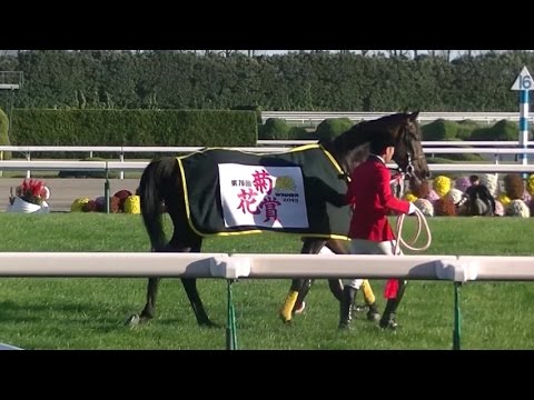 第76回菊花賞ファンファーレ生演奏2015.10.25