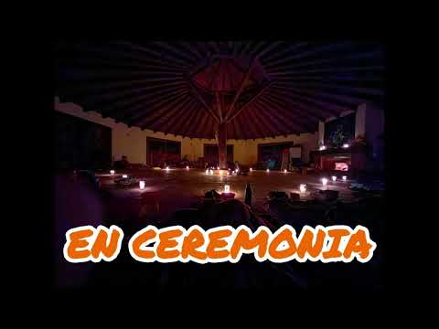 TRIBU GALEZ - En la selva un río (Taniz, 2024) (cover)