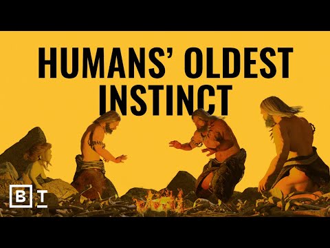 我們為什麼要探索，即使沒有回報 (Why we explore, even when there’s no payoff)