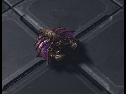 Worker Micro Tutorials