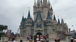 Disney Parque   Magic Kingdom