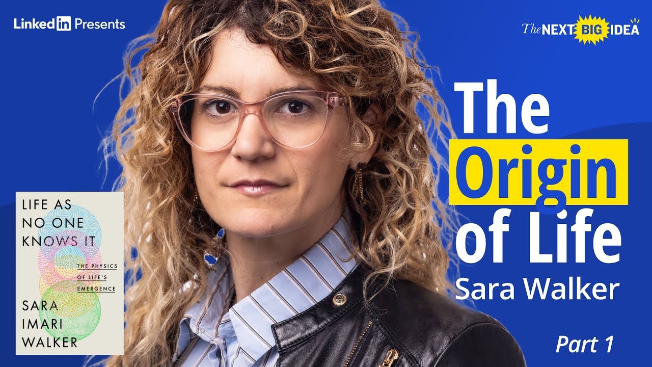 A Mind-Bending Conversation with Sara Walker - YouTube