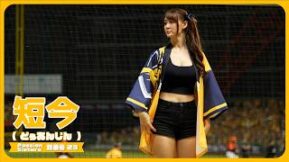 短今 Passion Sisters 中信兄弟啦啦隊  臺中洲際棒球場  2024/10/25【台湾チアTV】