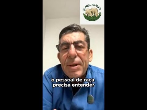 Bahia pronta para ser líder na produção de Cordeiros