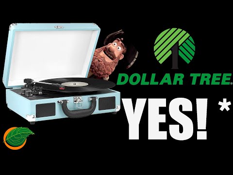 Can We Make a Dollar Tree DIY Record Player?