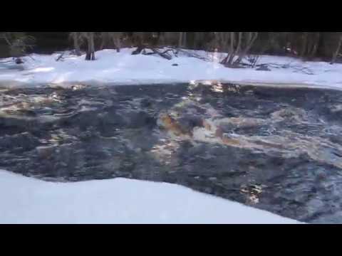 Sanginjoki 2020 03 29