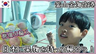 一時帰国パッキング&韓国から日本に桃を持ち込む方法。お土産に果物持って帰国したいから植物検疫を受けてみました【韓国在住・日韓夫婦・한일부부】