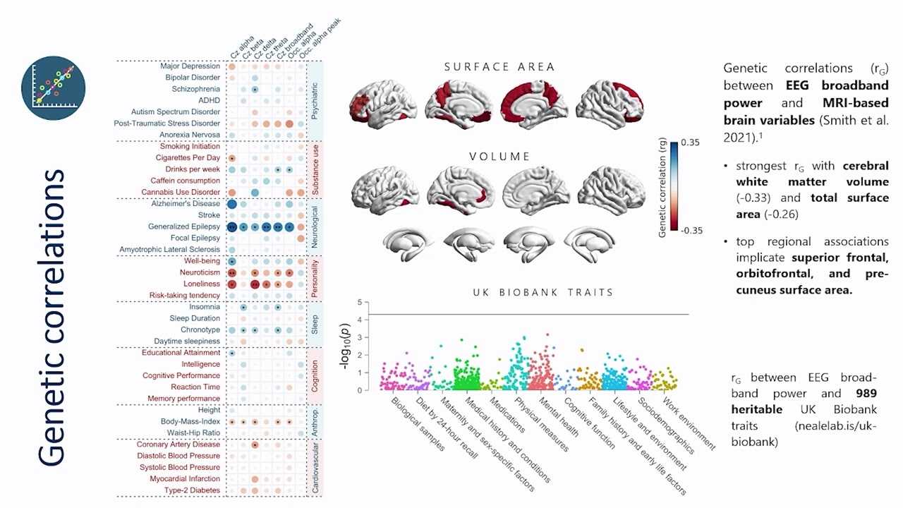 OHBM 2024 | Oral Session | Philippe Jawinski |  GWAS of EEG oscillations unveils genetic pleiotrop…
