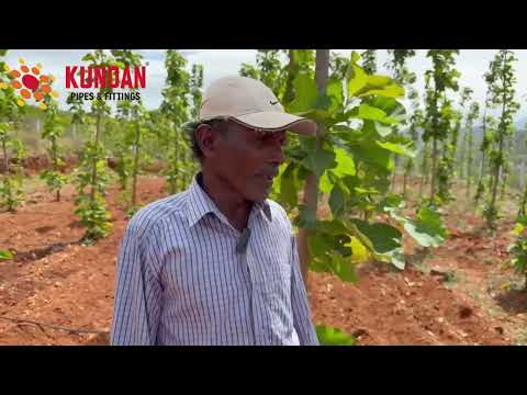 Client Testimonial 2