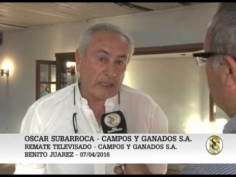 07-04-16 Nota Oscar Subarroca - Campos y Ganados S.A. - Remate T.V. - B. Juarez.