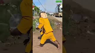 Let us know your favorite part in the comments! ⬇ #funnyanimals #funnymoments #FunnyJobs