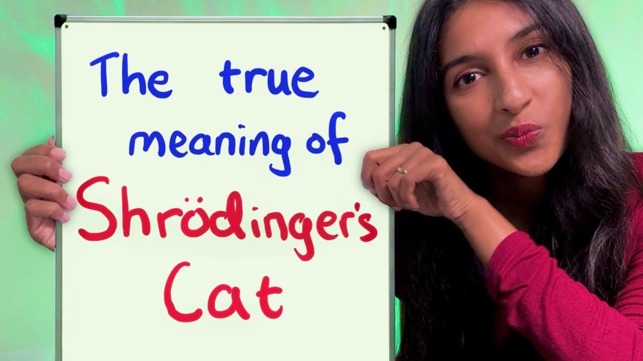Most people don't get Schrodinger's Cat (including you?)