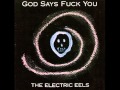Electric Eels - No nonsense