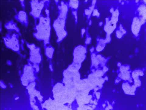 Bassbomber - Kakofonia