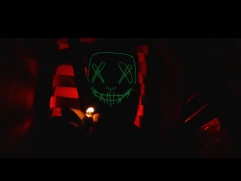 Wildlife Pettodene    Stay High (Official Video)