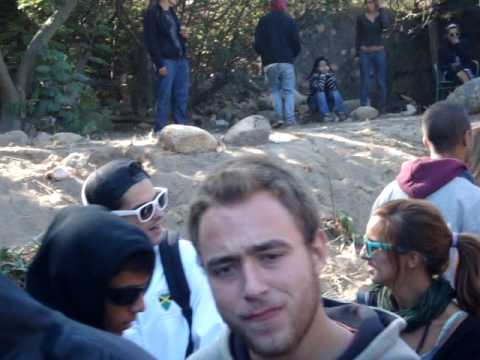 Tryon Live - Mystical Forest - 2