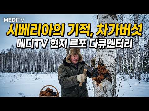 메디TV 방영