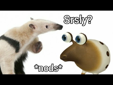 Top 5 Best Anteaters in Video Games