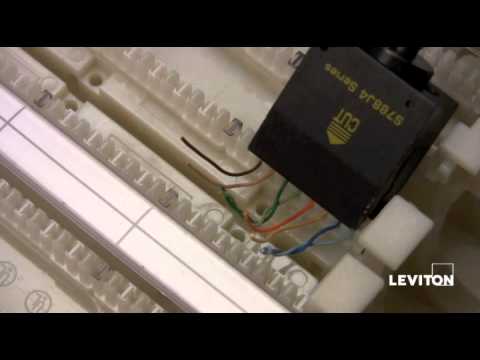 41DBR-1F4 | Cat 5e Wiring Blocks | Leviton Network Solutions 41DBR-1F4 | Cat 5e Wiring Blocks | Leviton Network Solutions
