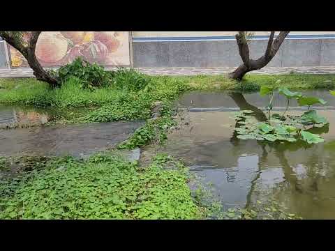 Fluxo de água do corredor de água do rio Beishi, condado de Miaoli, cidade de Holong