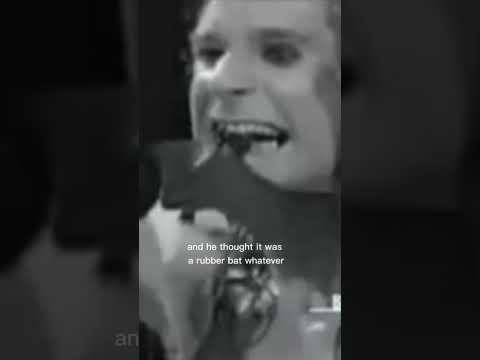 Jan 2O, 1982 almost 40 Years ago, Ozzy bit the head off a bat while on stage. #OzzyOsbourne