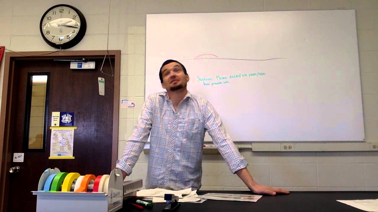 review for microbiology lab exam 2