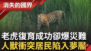 尼泊爾動用軍隊! 成功復育