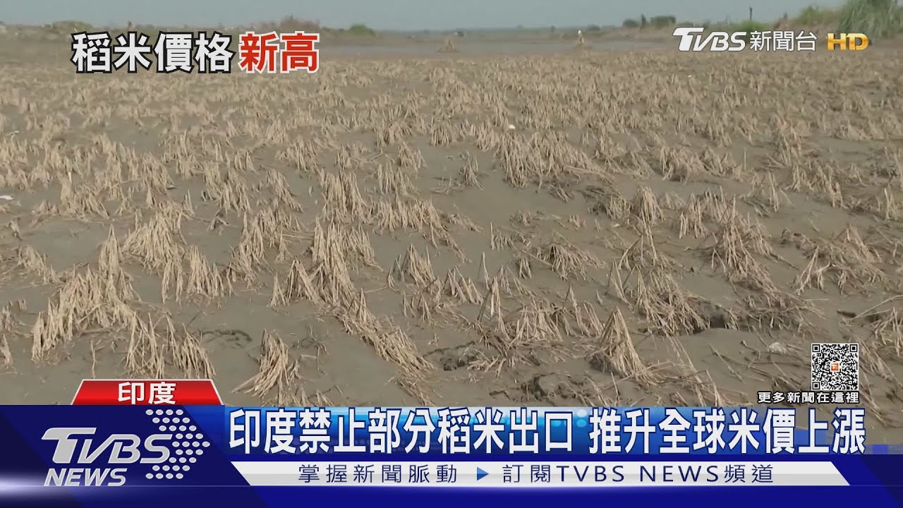 印度禁稻米出口！　全球米價推升到12年新高
