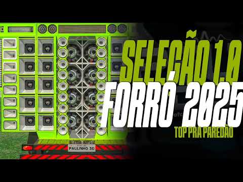 SELEÇÃO DE FORRÓ 1.0 - ULTRA LAPADA DE MÉDIO FORTE - CD DE PAREDÕS - @PEUCDSOFC