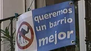 Prostitute fashion show
