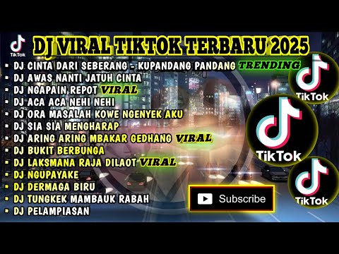 DJ VIRAL TIKTOK TERBARU 2025 | CINTA DARI SEBERANG KUPANDANG PANDANG - ZINIDIN | NANTI JATUH CINTA