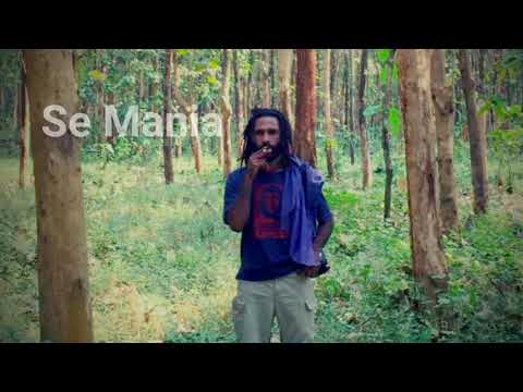 Dezine - Seh Mania by Seanrii