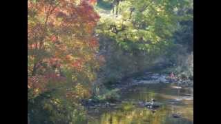 Autumn Leaves (Edith Piaf)