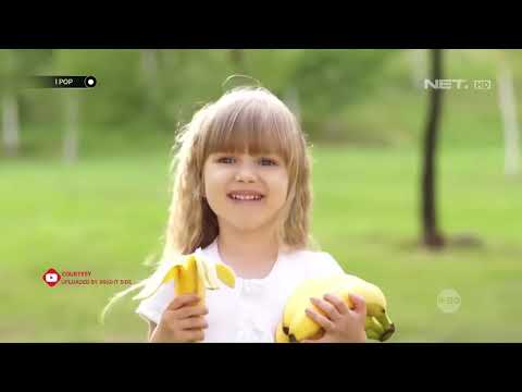 download lagu mp3 mp4 Cara Diet Dengan Pisang Emas, download lagu Cara Diet Dengan Pisang Emas gratis, unduh video klip Cara Diet Dengan Pisang Emas