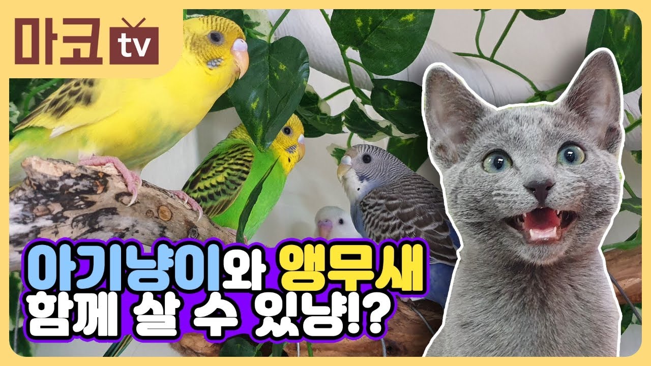 광고주:(주)마코펫