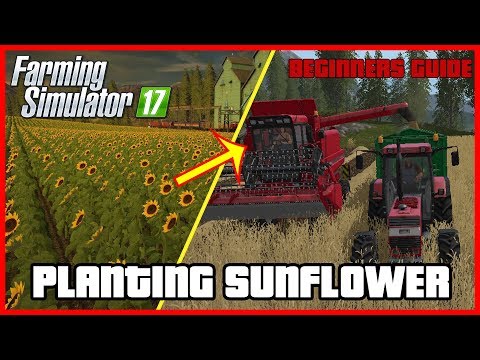 FARMING SIMULATOR 17 SUNFLOWER PLANTING TUTORIAL EP:001 | Ogygia Vlogs🇺🇸