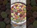 Lithops Care Secrets in 60 Secs!