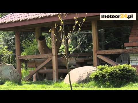 Pokoje Gościnne Uroczysko - Jankowce meteor24.pl