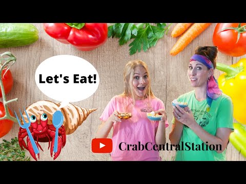 Feeding your Hermit Crabs || Simple Food Prep