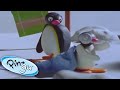 Pinga Goes Sleep Walking Pingu Official Cartoons For Kids