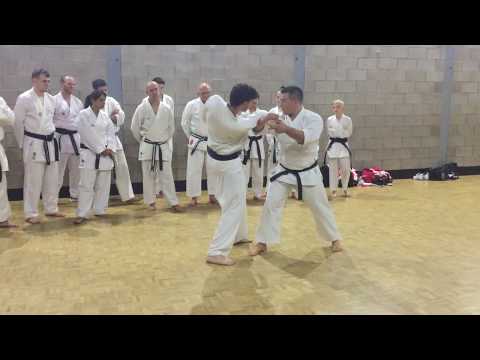 KARATE JUTSU - Wado Ryu Kihon Kumite 1, 4 and 5 with extensions - Summary