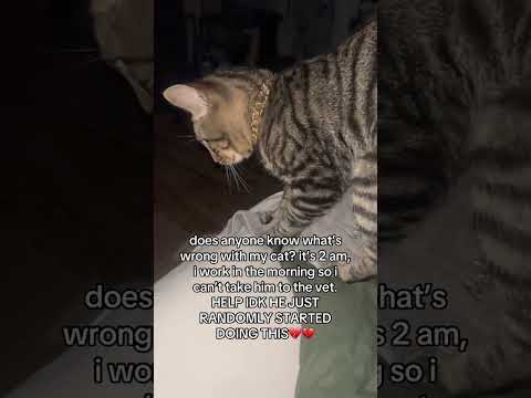 I fear this is sin biscuits